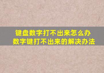 键盘数字打不出来怎么办 数字键打不出来的解决办法